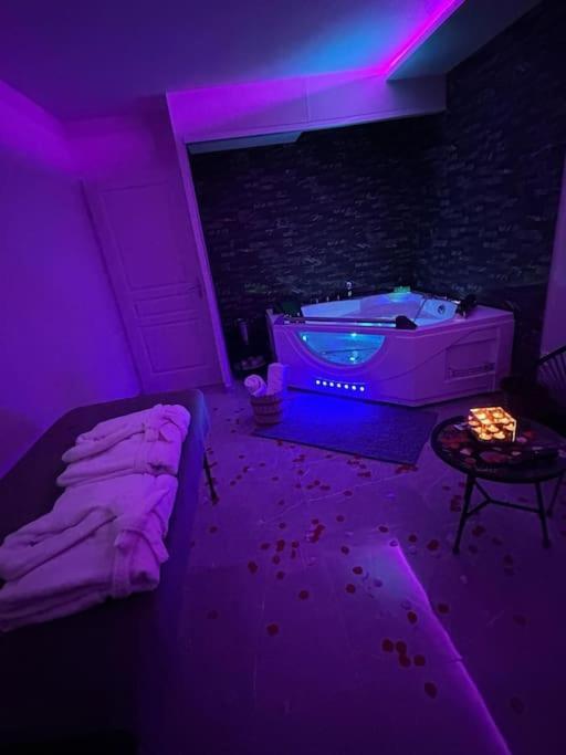 T3 5 Etoile Jacuzzi Lejlighed Toulouse Eksteriør billede